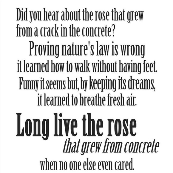 Meet your Posher, Watta - Picture 2 of 8